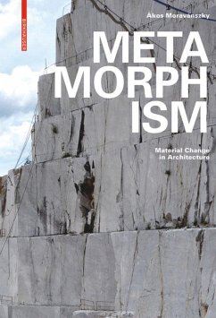 Metamorphism (eBook, PDF) - Moravánszky, Ákos