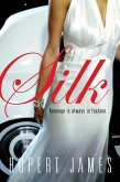 Silk (eBook, ePUB)