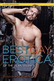 Best Gay Erotica of the Year (eBook, ePUB)