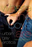 Where the Boys Are (eBook, ePUB)