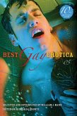 Best Gay Erotica 2005 (eBook, ePUB)