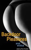 Backdoor Pleasures (eBook, ePUB)