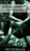 Addestramento Indecente 3 (eBook, ePUB)
