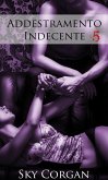 Addestramento Indecente 5 (eBook, ePUB)