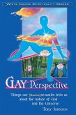 Gay Perspective: Things Our [Homo]sexuality Tells Us About the Nature of God and the Universe (eBook, ePUB)