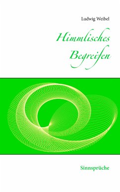 Himmlisches Begreifen (eBook, ePUB) - Weibel, Ludwig