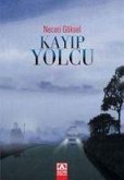 Kayip Yolcu