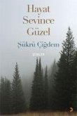 Hayat Sevince Güzel