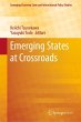 Emerging States at Crossroads - Bild 1