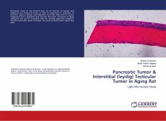 Pancreatic Tumor & Interstitial (leydig) Testicular Tumor in Aging Rat - Al-Sereah, Bahaa;Kadim Majeed, Saleh;Khudeir, Zainab