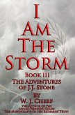 I Am the Storm