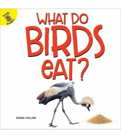 What Do Birds Eat? - Collins