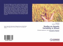 Studies on Genetic Variability in Wheat
