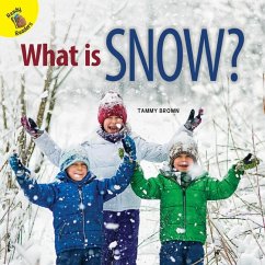 What Is Snow? - Brown