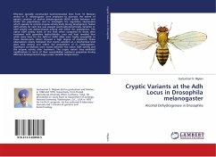 Cryptic Variants at the Adh Locus in Drosophila melanogaster