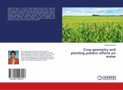 Crop geometry and planting pattern effects on maize