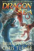 Dragon Sea: Mage Reborn