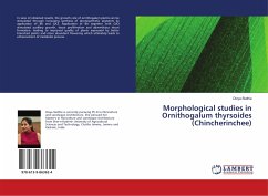 Morphological studies in Ornithogalum thyrsoides (Chincherinchee) - Slathia, Divya