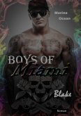 Boys of Miami (eBook, ePUB)