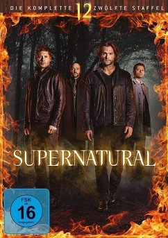 Supernatural Staffel 12 DVD-Box - Jared Padalecki,Jensen Ackles,Misha Collins