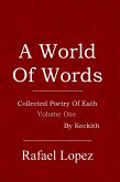 A World Of Words (eBook, ePUB)