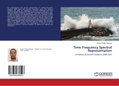 Time Frequency Spectral Representation - Gashaye, Amare Terefe