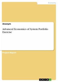 Advanced Economics of System Portfolio Exercise (eBook, PDF)