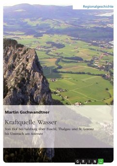 Kraftquelle Wasser. Von Hof bei Salzburg über Fuschl, Thalgau und St. Lorenz bis Unterach am Attersee (eBook, PDF)