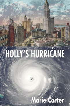 Cover Holly's Hurricane (eBook, ePUB)