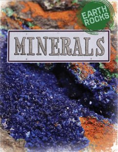 Earth Rocks: Minerals - Spilsbury, Richard