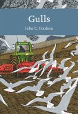 Gulls Gulls