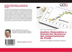 Análisis Matemático y Simulación Numérica del comportamiento de Fluido - Maldonado Durazno, Jhoffre Fernando