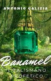 Banamel il talismano profetico (eBook, ePUB)