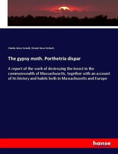 The gypsy moth. Porthetria dispar