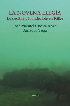 Cover La novena elegía (eBook, ePUB)