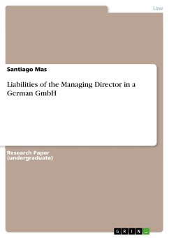 Liabilities of the Managing Director in a German GmbH (eBook, PDF)