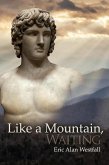 Like A Mountain, Waiting (eBook, ePUB) Like A Mountain, Waiting (eBook, ePUB)