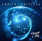 Ambient Universe
