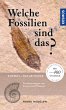 Welche Fossilien sind das? (eBook, PDF) - Bild 1
