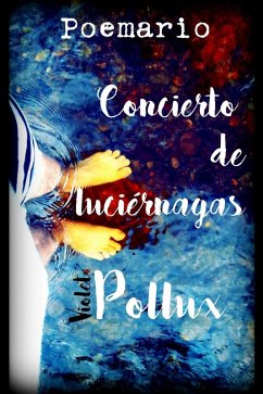 Cover Concierto de luciérnagas (eBook, ePUB)
