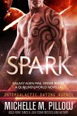 Spark: A Qurilixen World Novella: Intergalactic Dating Agency (Galaxy Alien Mail Order Brides, #1) (eBook, ePUB)