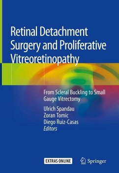 Cover Retinal Detachment Surgery and Proliferative Vitreoretinopathy (eBook, PDF)