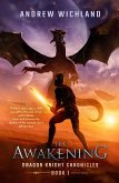 Dragon Knight Chronicles: The Awakening (eBook, ePUB)