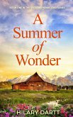 A Summer of Wonder (The Seedling Homestead Series, #1) (eBook, ePUB)