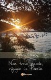 Non trovo parole, rifugio in Poesia (eBook, ePUB)