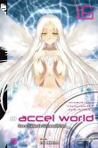 Accel World / Accel World - Novel Bd.16