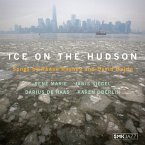 Ice On The Hudson