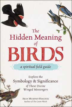 The Hidden Meaning of Birds--A Spiritual Field Guide - Murphy-Hiscock, Arin
