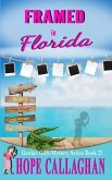 Framed in Florida: A Garden Girls Cozy Mystery