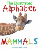 The Illustrated Alphabet of Mammals